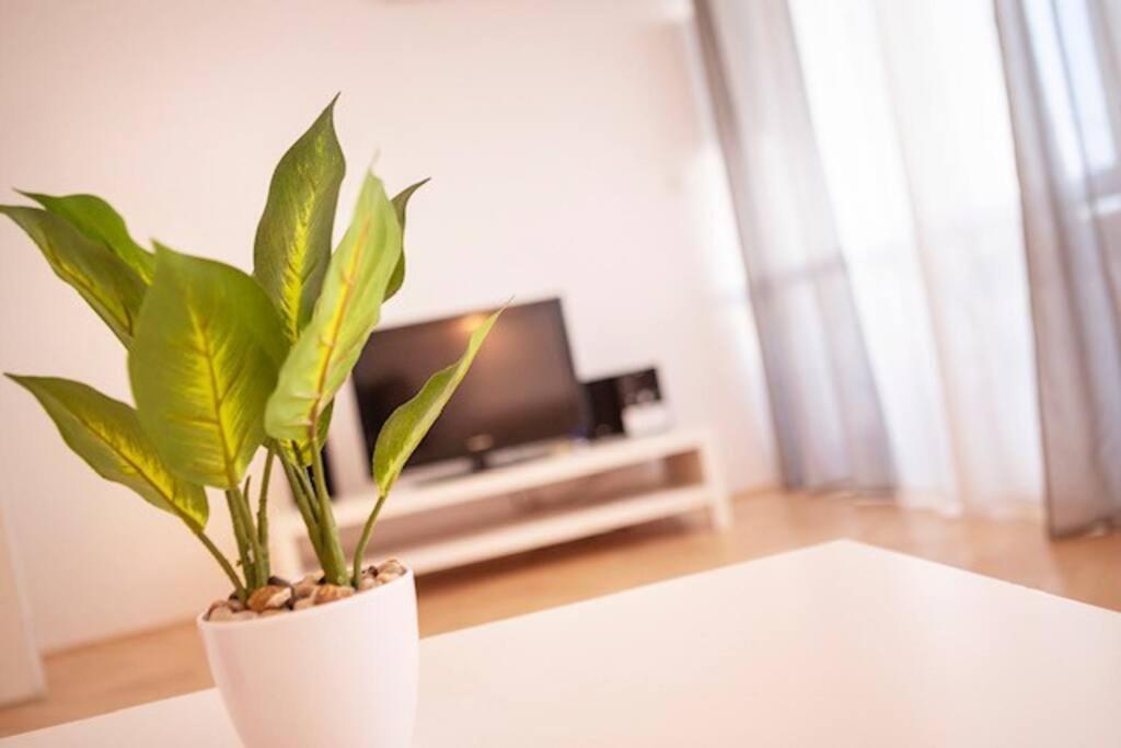 Sea City View W/ 2Bd 1Bt Free Street Parking Rijeka Buitenkant foto